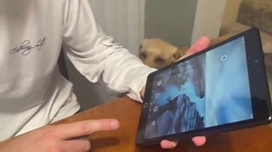 Watch TJD 7.9 Inch Android Tablet, Review on Amazon Live