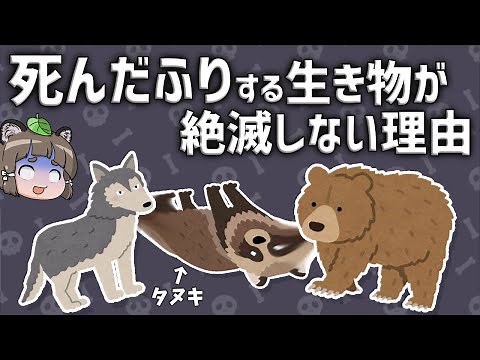 【疑問】死んだふりをする生き物はなぜ絶滅しないのか？