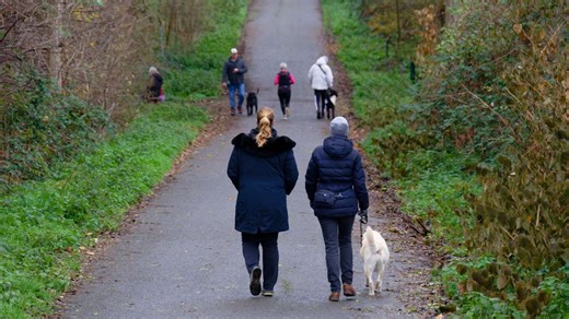 Wetter: Mildes Wetter zum meteorologischen Winteranfang