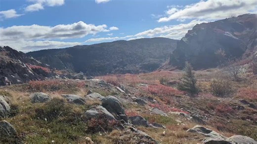 Discover St John's Breathtaking Nature