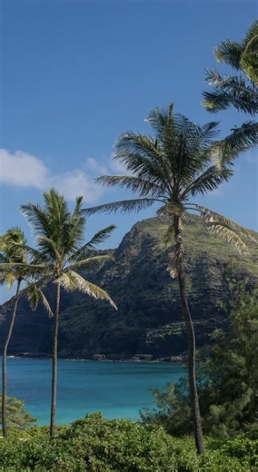 Have you been to the HI Swap Meet yet? 👀 Next time you go, make sure to check out some of the top local spots and don’t forget to stop by Diamond Head Candy for your sweet fix! 🍬 Wednesdays & Saturdays | 8 AM–3 PM Sundays | 6:30 AM–3 PM Come snack, shop, and explore💖 #hawaii #oahuhawaii #hawaiigifts #diamondheadcandy #waikikibeachwalk #waikiki #hawaiiswapmeet | Diamond Head Candy Co.