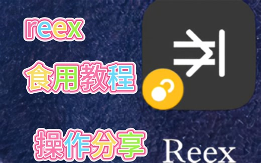 reex食用教程