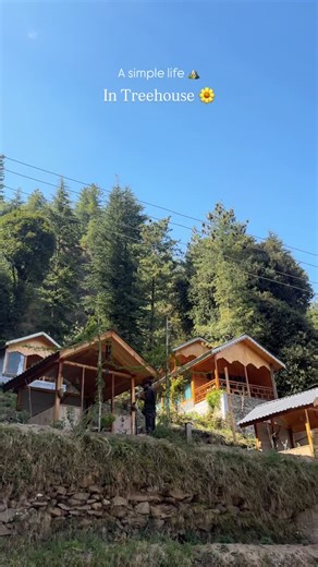 Tree House Jibhi 🌻 on Instagram: "Book it :- 82788-88956"