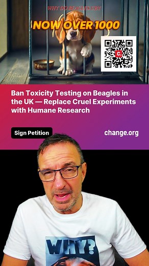 5K views · 218 reactions | Severity of Toxicity Testing #whydobeaglescry #davidrichmusic | David Rich Music | Facebook