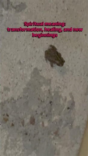 Signs from Spirit 🐸 #spiritualguidence