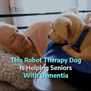 414K views · 43 reactions | This robot dog is a great friend for elderly people with dementia ❤️ | Cultura Colectiva Video | Facebook