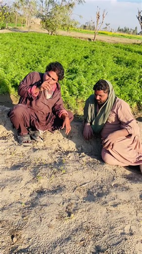 Swag Step Challenge: A Fun Dance Experiment