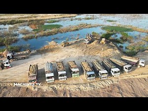 Amazing Huge Swamp Land Filling Up Dump Truck Management Large Capacity Unloading Dirt Safety Work