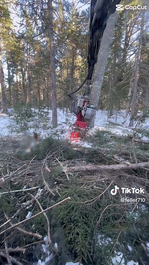 Work till i drop #tigercat #logmax7000xt #forestryequipment #bluecollar #loggersoftiktok #CapCut