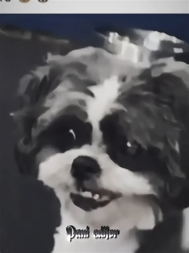 Exploring Skinwalker Dogs: Myths and Mysteries
