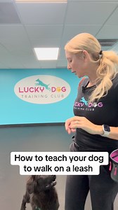 202 reactions · 7 comments | #fyp #dogtraining #dogtrainingtips #puppytrainingtips | Lucky Dog Training Club | Facebook
