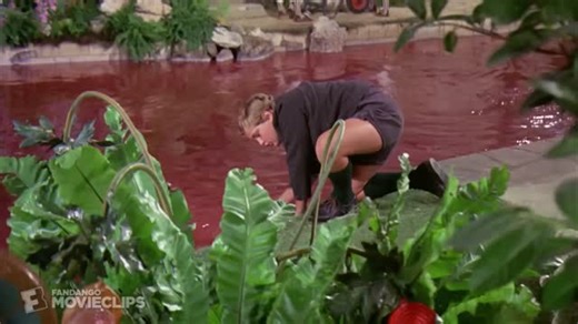 Gene Wilder on Instagram: "🍫 Happy National Chocolate Day! 🍫 Some people savor it… others fall right in. 😅 In this iconic scene, Willy Wonka’s calm façade meets every chocolate-lover’s worst nightmare, someone messing with his river of dreams. Whether you’d be swimming like Augustus or watching in quiet panic like Gene, today’s the perfect excuse to treat yourself to something sweet. 💜 💬 Tell us: if you were in the factory, what’s the first thing you’d try, the river, the lickable wallpaper