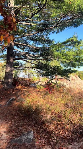 The b in bowdoin stands for beautifullll #bowdoin | bowdoin college