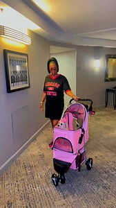 31K views · 1.1K reactions | Did you take coco on vacation with you #yorkiemom #yorkielove #yorkielife #vacation | Collins Love | Facebook