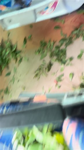 என்றும் அன்புடன் PMS on Instagram: "Melmaruvathur Trip 🌿 #trendingreels #video #travelphotography #photo #video #naturephotography #village #roadtrip #traveltheworld #instalike #lifestyle #photoshoot #colorful #coach #photo @mithun_holidays_jack @shree_senthil_murugan_travels @palani_murugan_travels @vignesh__2230"