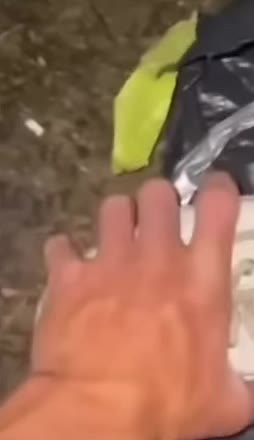 Spring shoes #fyp #funny #meme #spring #shoes