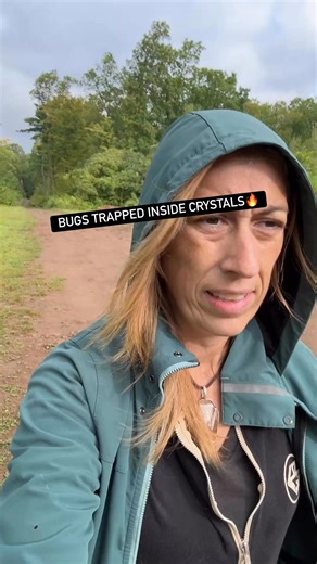 100K views · 5.7K reactions | The BIG BUG debateIs it a bug inclusion?? Herkimer Mountain and the great mysteryAmazing finds all daywith Liz of Herkimer Diamonds #crystals #greatoutdoors #roadtrip #nature #mystery | Liz of Herkimer Diamonds | Facebook