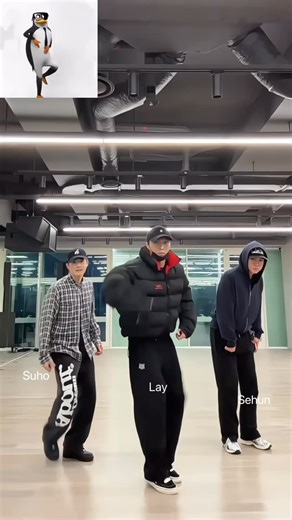 ♡𝕃𝔼𝕋𝕊 𝕃𝕆𝕍𝔼 𝕊𝕌ℍ𝕆 ♡ on Instagram: "Sehun, Suho, and Lay dancing to the Penguin Dance challenge oh my God, they’re so cute, I love them so much…💜🐤🐰🐑 @kimjuncotton @oohsehun @layzhang . . . #EXO #Suho #Sehun #Lay #EXOL #EXOPractice #DanceChallenge #PenguinDanceChallenge #SuhoEXO #SehunEXO #LayEXO #WeAreOneEXO #EXOForever #exo2025"