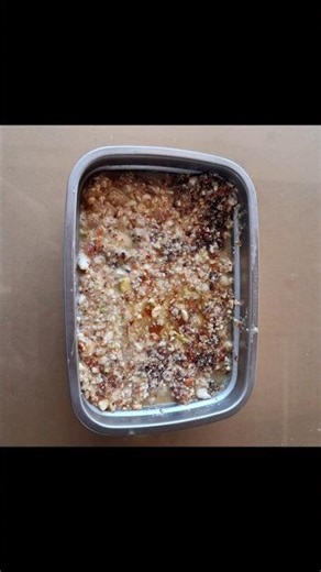 Winter Special Khajoor No Aatho | Power Packed #shorts #dates #vegetrain #aatho #jainreceipe #health