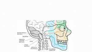 Trigeminal Neuralgia- When is Prolotherapy a good treatment option? How are the neck & jaw involved? Ross Hauser, MD discusses chronic trigeminal neuralgia and the types of cases that would typically respond to a treatment like Prolotherapy when the traditional first-line injection treatments are not addressing the underlying structural issue and symptoms continue to return. #trigeminalneuralgia #neckpain #caringmedical #hauserneckcenter #drrosshauser #regenerativemedicine #prolotherapy #tmj #ce
