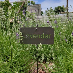 Metal Garden Sign | Garden Decor | Gift for Gardener - Etsy