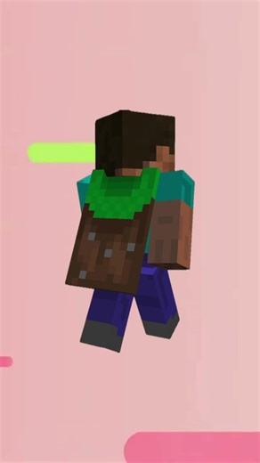 This Minecraft Skin Exists for Only ONE Person…