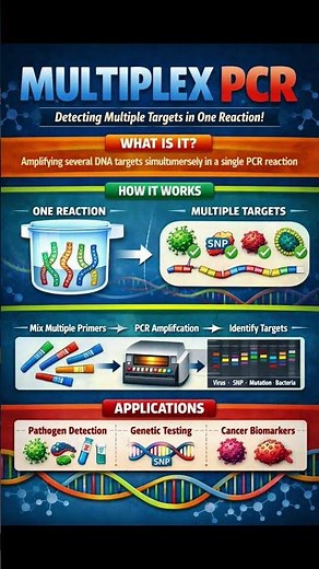 Multiplex PCR #biologybasics #sciencemadesimple #molecularbiology #biotechbasics #biotechnology