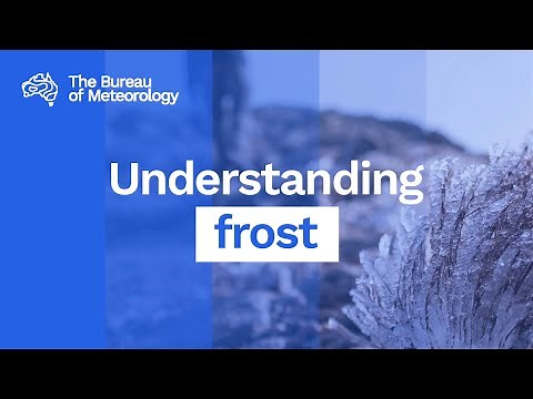 Understanding Frost