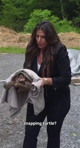 Amanda Grace Rescues a Snapping Turtle