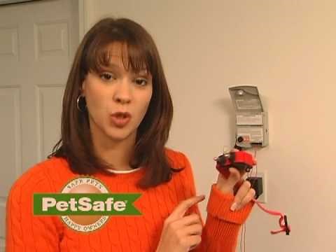 PetSafe—How to Run the In-Ground Fence Short Loop Test