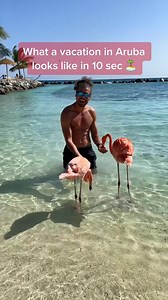9K views · 301 reactions | Had so much fun #traveling to #Aruba here are some clips from my camera roll from my #vacation in #aruba #caribbeantiktok | Traveltomtom | Facebook