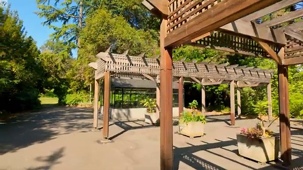 Explore BALLARD LOCKS SEATTLE 2025 | Stunning 4K Walking Tour & History