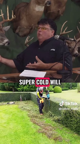 Do Big Food Plots Attract Mature Bucks?