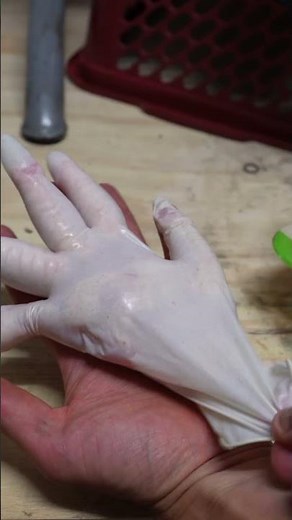 Can crusher vs human hand