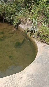 explore citarum river. With Pesona Cikahuripan #fyp #azizen | Azizen