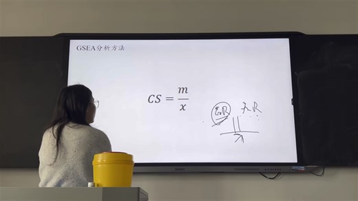 Cmap原理，Gsea方法以及网上组学数据整理