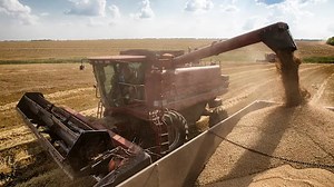 Ukraine to resume grain exports despite Moscow's attack on Odesa's port