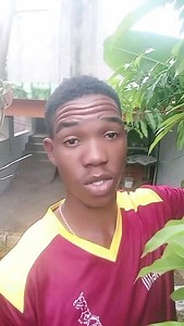 15K views · 41 reactions | Amazing Mango Leaf Benefits You Need To Know...#mangoleaf #benefits #diabetes #highbloodsugar #viral #reels #remedy #herbs #herbal | David Gallimore | Facebook