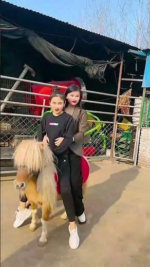 Where Kindness Shapes Strong and Fearless Horses