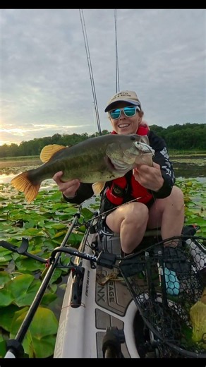 Giant Bass on Frog in Lily Pads