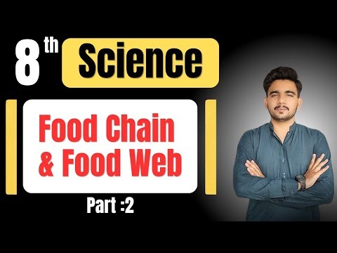 Food Chain and Food Web || Part 2 || 8th Science