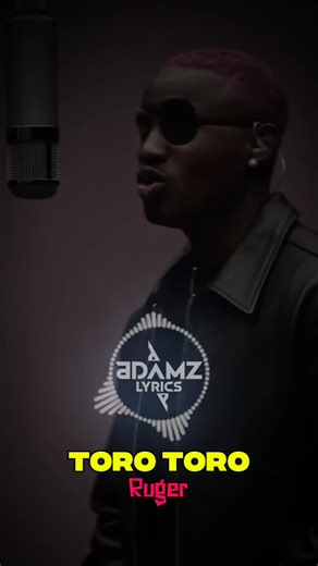 Toro Tora - Ruger: Lovely Lyrics Explore Meaning