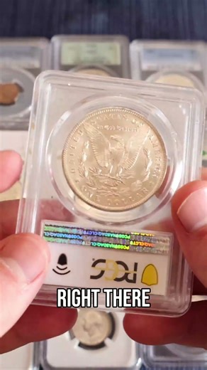 Stunning Morgan Dollar: Flaws and All - A Collector's Find!