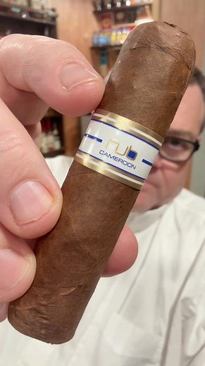 Nub Cameroon Cigar Review | Big Flavor in a Short Smoke | The Other Room Cigars #shorts