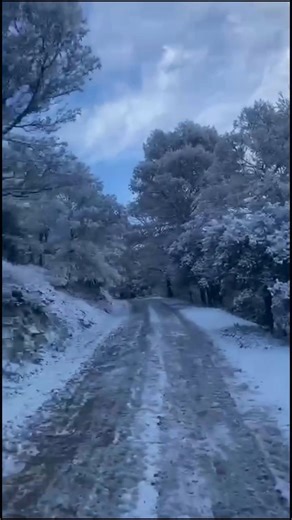 Hora Jaén on Instagram: "❄️ La nieve cubre Jabalcuz tras la nevada de las últimas horas ❄️ El paraje de Jabalcuz, en Jaén, ha amanecido hoy con un manto blanco después de la nevada registrada durante las últimas horas. La estampa invernal ha dejado imágenes espectaculares en la sierra, con caminos y vegetación cubiertos de nieve. 🌨️ Un paisaje que confirma la bajada de temperaturas y el carácter invernal de este episodio meteorológico en la capital y su entorno. 📹 @juanmorenoscape"