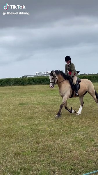 Proud Moments with a Welsh Pony