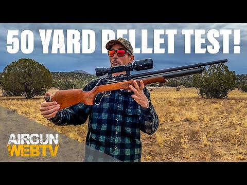 Seneca Eagle Claw 50 YARD PELLET TEST - First time out of the box with the .25 cal Eagle Claw!