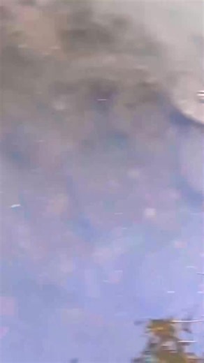 Find start flyfishing | Deena Holland