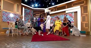 Watch: A woman ‘married’ her dog on live television. It was not particularly amusing