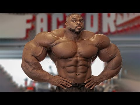 BRANDON CURRY’S INSANE FULL BODY | THE KING OF AESTHETICS